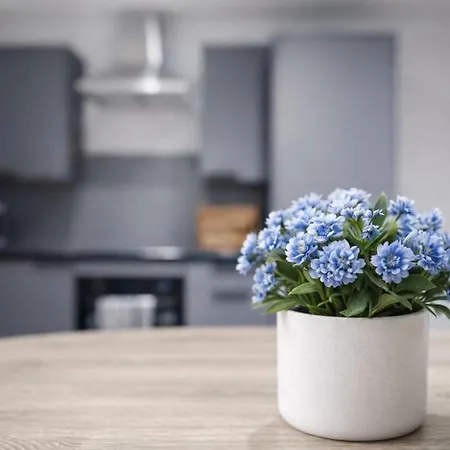 Modern 3 Bed Near Arena Free Parking