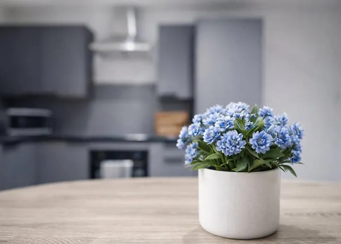 Modern 3 Bed Near Arena Free Parking